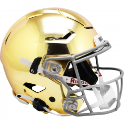 NCAA Helmet Collectibles, Riddell, Inc.