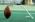 SideKick portable football holder kicking stand best, recommended, economical 