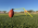 Football Kicking Holders Football Kicking Holders